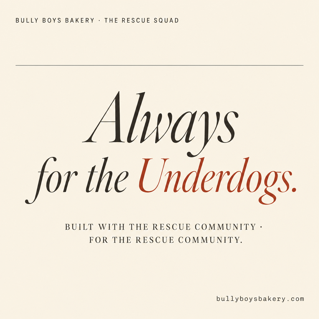 Typographic tile on cream. Headline: Always for the Underdogs. Subhead: Built with the rescue community, for the rescue community.