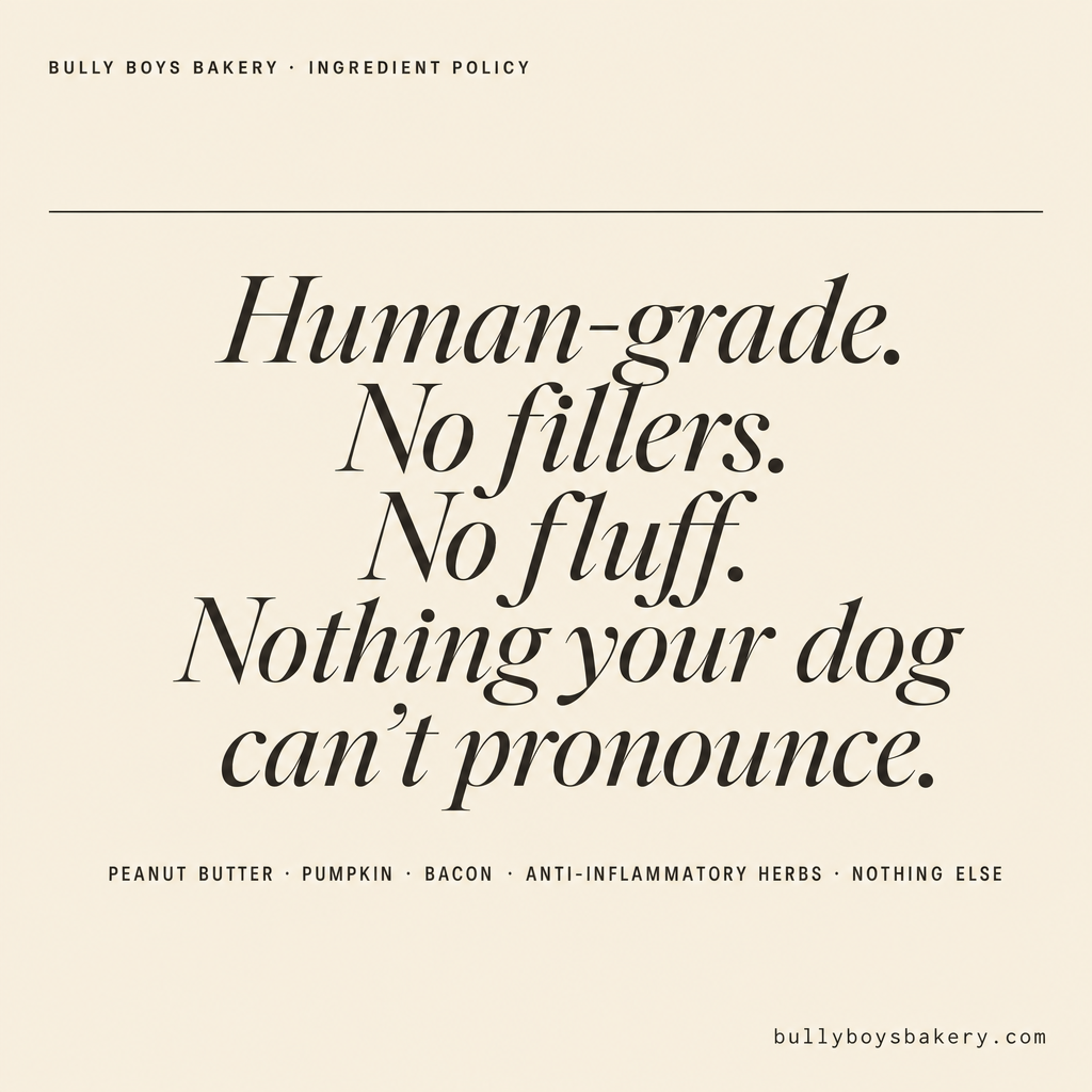 Typographic tile on cream. Headline: Human-grade. No fillers. No fluff. Nothing your dog can't pronounce. Subhead: peanut butter, pumpkin, bacon, anti-inflammatory herbs, nothing else.